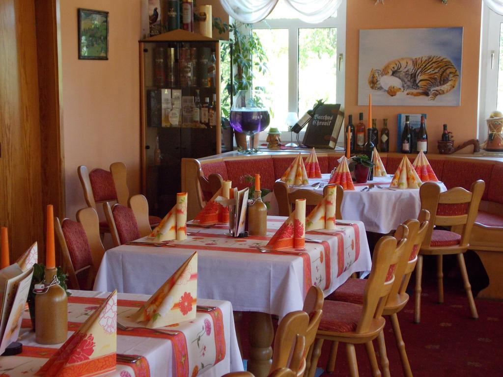 Landhotel Weisses Roess'L Adorf Εξωτερικό φωτογραφία